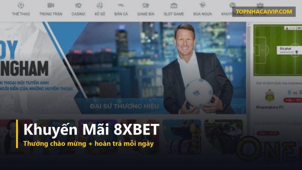khuyến mãi nhà cái 8XBET