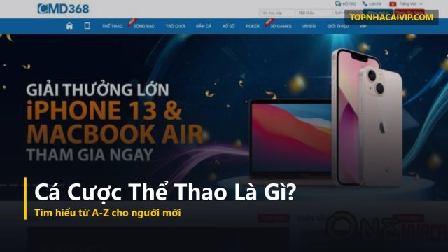 cá cược thể thao là gì