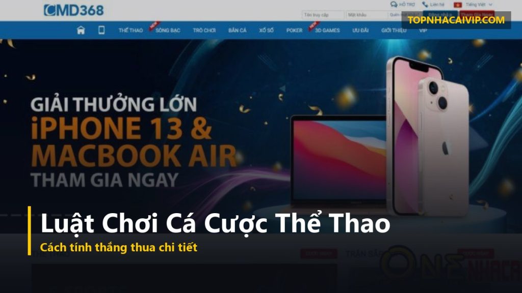 luật chơi cá cược thể thao