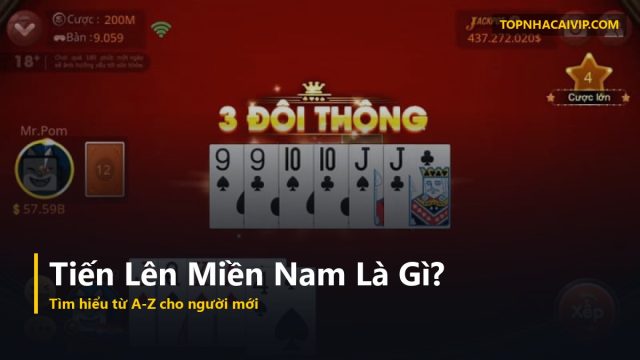 tiến lên miền nam là gì